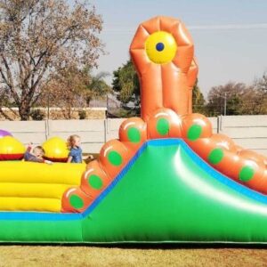 Bug Slide & Jumping Castle